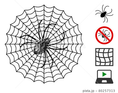 Spider Net Web Vector Mesh Illustration 80257313