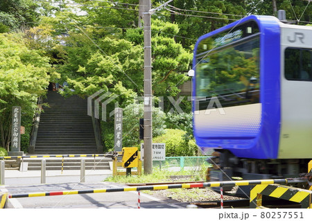 円覚寺と横須賀線 80257551