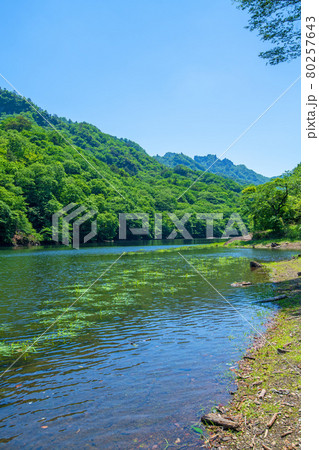 中木ダム 妙義湖 静寂な初夏の周辺景色 中木ダム 妙義湖 静寂な初夏の周辺景色 80257643