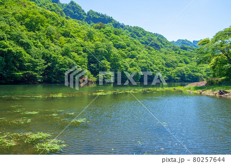 中木ダム 妙義湖 静寂な初夏の周辺景色 中木ダム 妙義湖 静寂な初夏の周辺景色 80257644