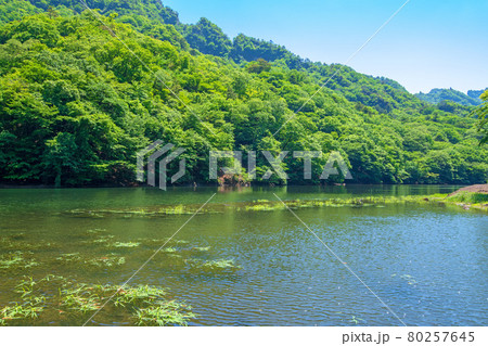 中木ダム 妙義湖 静寂な初夏の周辺景色 中木ダム 妙義湖 静寂な初夏の周辺景色 80257645