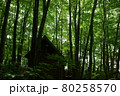 珈琲　 森の時計　優しい時間 80258570