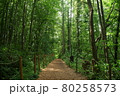 珈琲　 森の時計　優しい時間 80258573