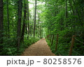 珈琲　 森の時計　優しい時間 80258576