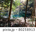 エメラルドグリーンの丸池 80258913