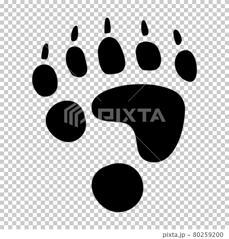 Panda footprints 80259200