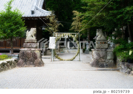 立志神社の夏越の大祓 立志神社の夏越の大祓 80259739