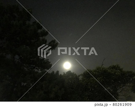 日常のおぼろ月夜 日常のおぼろ月夜 80261909