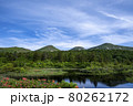 初夏の水連沼　八甲田山 80262172
