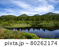 初夏の水連沼　八甲田山 80262174