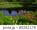初夏の水連沼　八甲田山 80262176