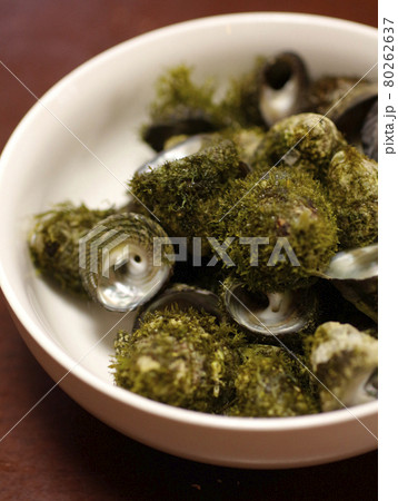 茹でガンガラ貝の写真素材