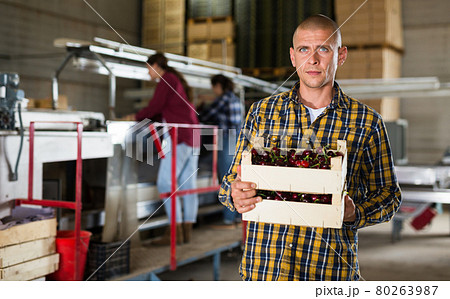 Man holding sweet cherries at fruit warehouse Man holding sweet cherries at fruit warehouse 80263987