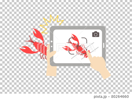 At hand taking a picture of a crayfish with the camera of a tablet terminal 80264660
