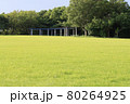 芝生公園 80264925