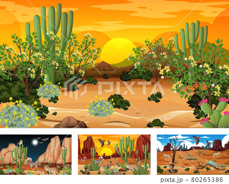 Different scenes with desert forest landscape with animals and plants 80265386