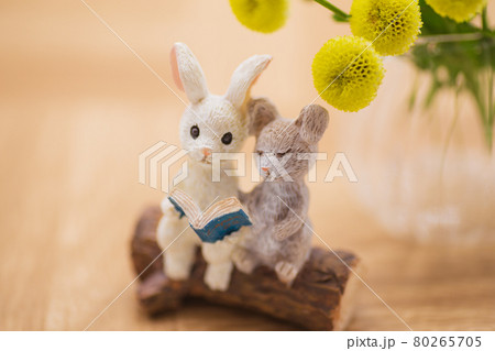 うさぎ　読書　黄色　花　カード 80265705