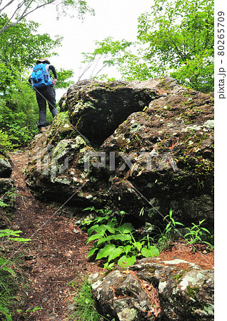 龍門山ハイキングコースにある磁石岩　【和歌山県紀の川市】 80265709