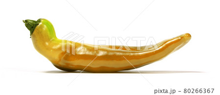 Unnatural orange sweet pointed pepper 80266367