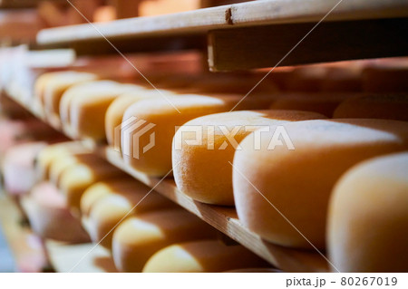 Cheese factory production shelves with aging old cheese Cheese factory production shelves with aging old cheese 80267019
