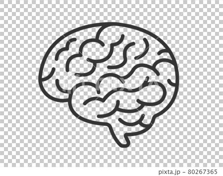 Illustration Of The Human Brain Stock Illustration