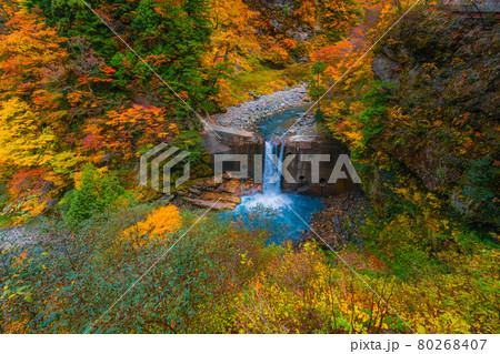 黒部峡谷の秋の風景 黒部峡谷の秋の風景 80268407