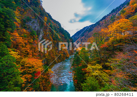 黒部峡谷の秋の風景 80268411