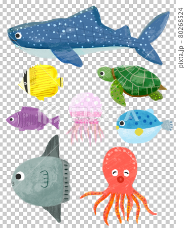 手描きの海の生き物　セット 80268524