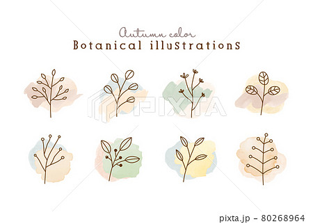 秋色の植物の線画イラストのセット 水彩 シンプル ボタニカル ナチュラル 葉 自然 おしゃれのイラスト素材
