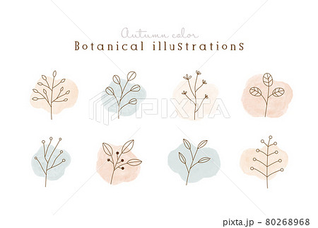 秋色の植物の線画イラストのセット 水彩 シンプル ボタニカル ナチュラル 葉 自然 おしゃれのイラスト素材