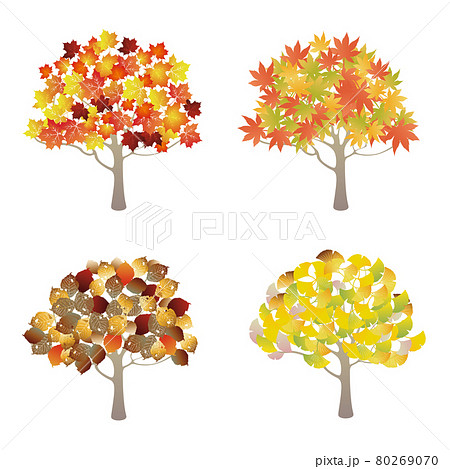 紅葉の樹木イラストセットのイラスト素材