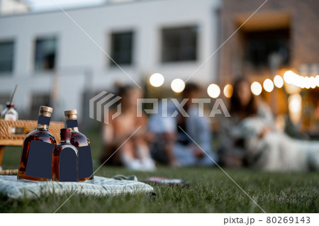 People at picnic with alcohol 80269143