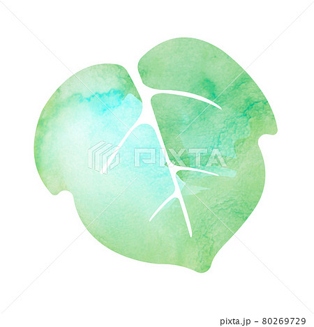 暑中見舞い 残暑見舞いで使える夏の風物詩 水彩イラスト 朝顔の葉のイラスト素材