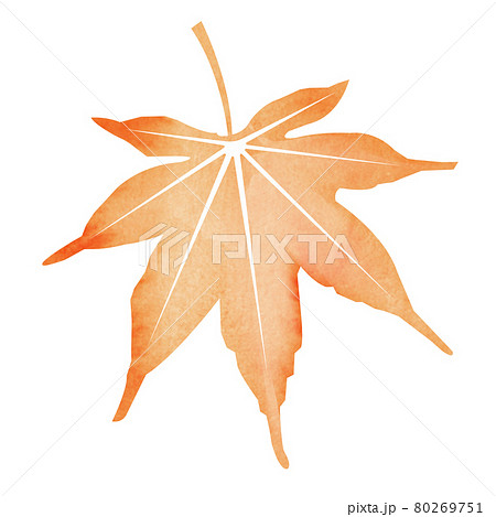 暑中見舞い・残暑見舞いで使える夏の風物詩 水彩イラスト / モミジ・紅葉 暑中見舞い・残暑見舞いで使える夏の風物詩 水彩イラスト / モミジ・紅葉 80269751