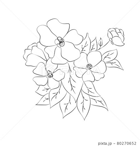 Summer garden blooming flowers monochrome illustration, sketch, hand drawn Summer garden blooming flowers monochrome illustration, sketch, hand drawn 80270652