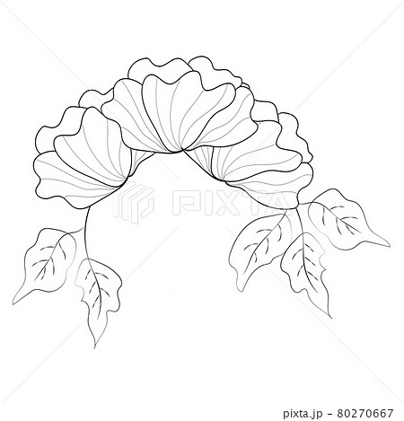 Summer garden blooming flowers monochrome illustration, sketch, hand drawn 80270667