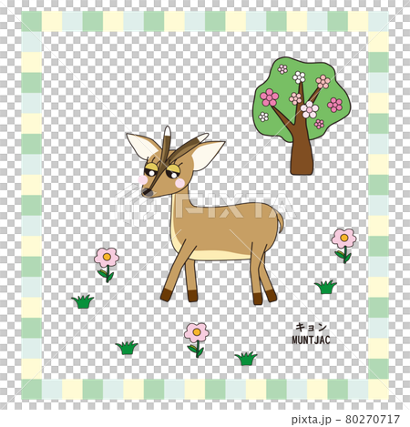 可愛動物系列 Kyon 80270717