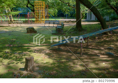 新緑の美しい公園 80270996