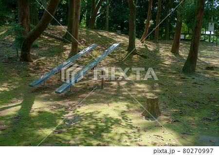 新緑の美しい公園 80270997