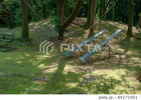 新緑の美しい公園 80271001