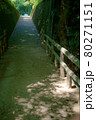 新緑の美しい公園 80271151