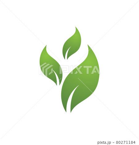 Logos of green Tree leaf ecology 80271184