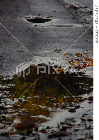 秋の水たまりと落ち葉 秋の水たまりと落ち葉 80273337