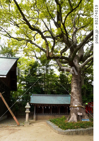 大市八幡神社 80274019