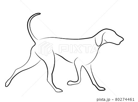 hound dog line art - vector 80274461