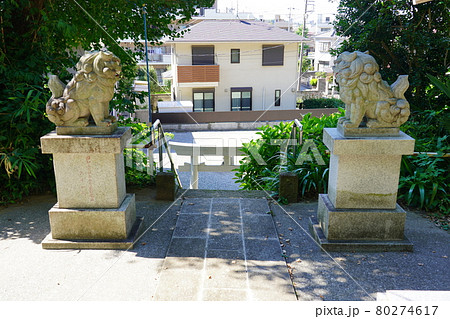 駒岡八幡神社 狛犬 駒岡八幡神社 狛犬 80274617