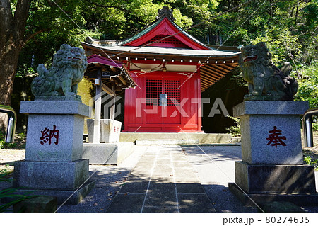 駒岡八幡神社 社殿と狛犬 駒岡八幡神社 社殿と狛犬 80274635