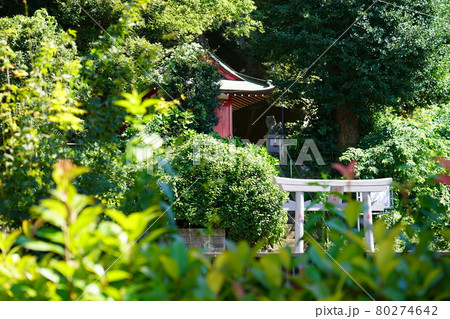駒岡八幡神社 駒岡八幡神社 80274642