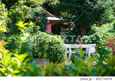 駒岡八幡神社 駒岡八幡神社 80274644