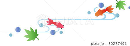 金魚 金魚 80277491